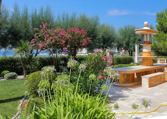 Palma Сукошан