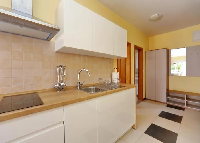 Palma * Сукошан